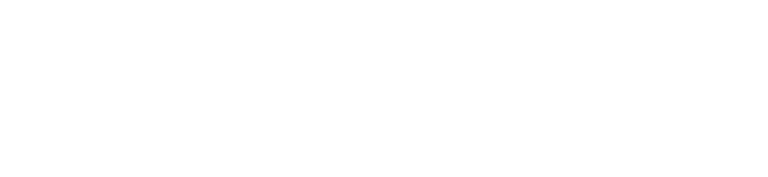 Veriten